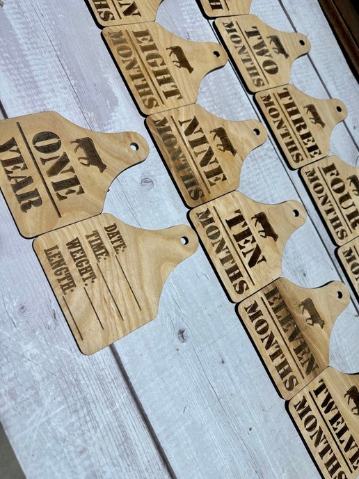 Rustic Farm-Themed Baby Milestone Tags