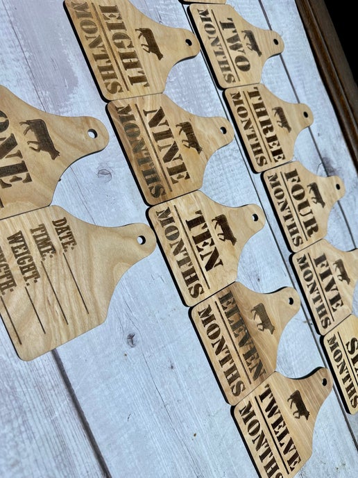 Rustic Farm-Themed Baby Milestone Tags