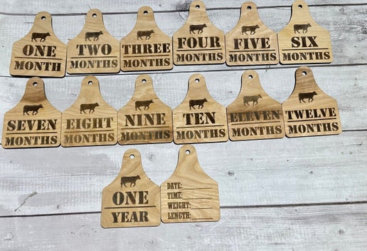 Rustic Farm-Themed Baby Milestone Tags