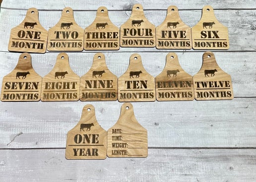 Rustic Farm-Themed Baby Milestone Tags